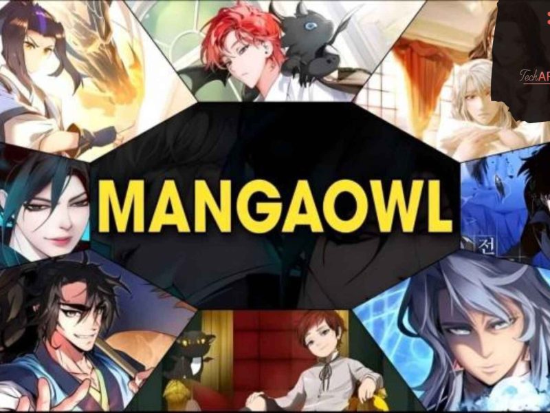 Featured-Image-Mangaowl